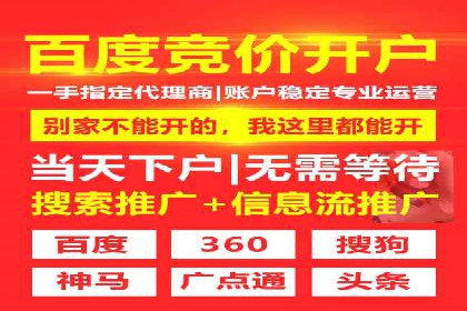 SEM外包公司案例：打造个性化营销方案